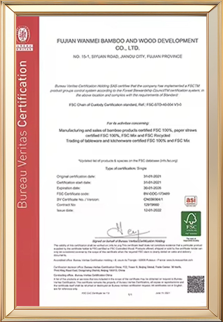 Certificado1